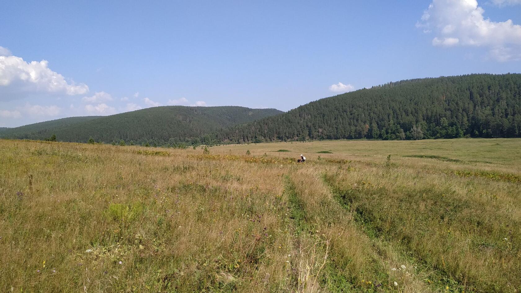 Лысово
