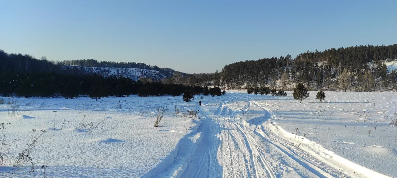 На жеребчике