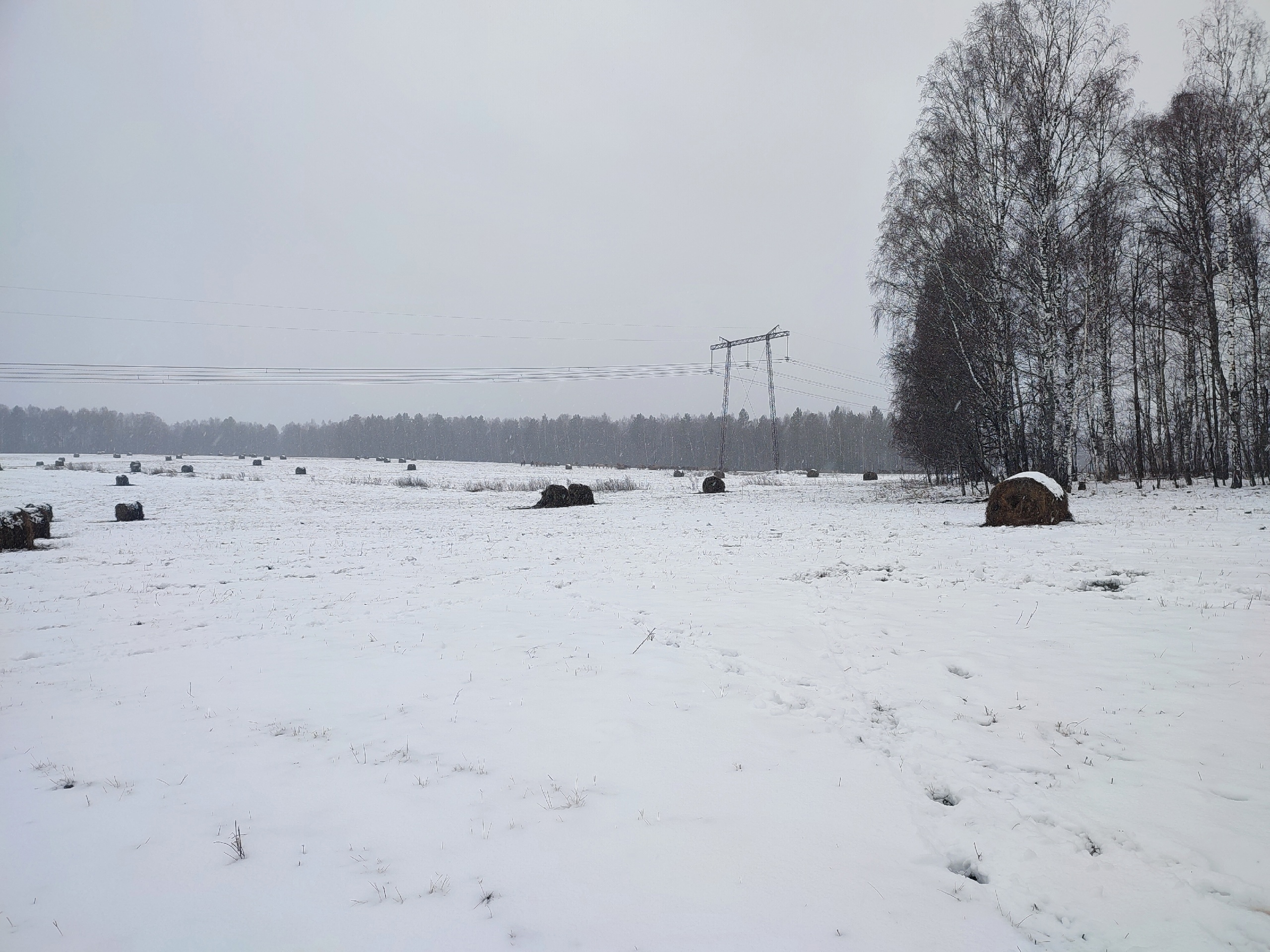Высоковольтная ЛЭП