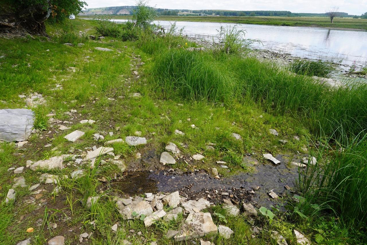 Куселяровские сероводородные источники. Окрестности с. Идельбаево 2-е. Фото Г.А. Данукаловой